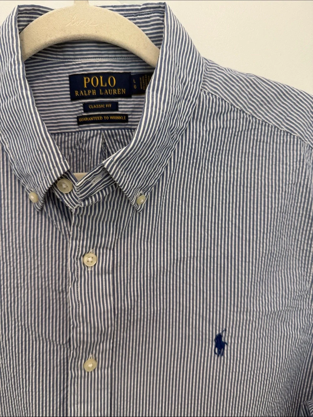 Polo by Ralph Lauren Blue and White Striped Short Sleeve Button-Down Shirt